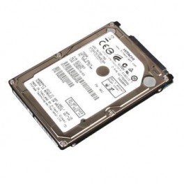 HGST  500 Go 7200 trm